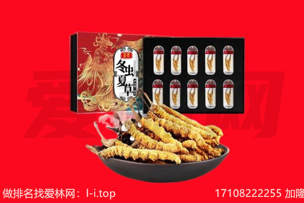 阿克苏市回收虫草.jpg